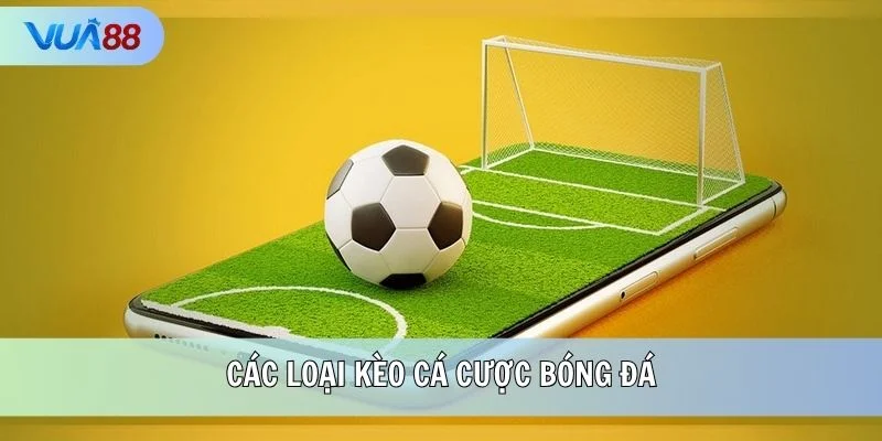 Các loại kèo cá cược bóng đá