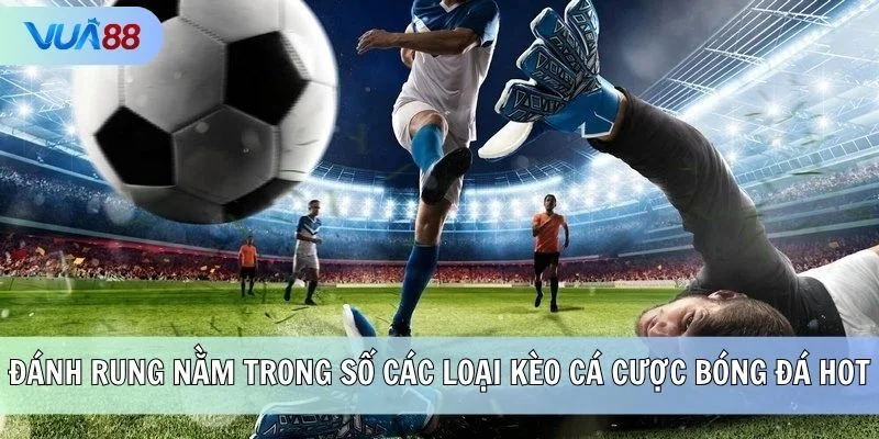 Đánh rung nằm trong số các loại kèo cá cược bóng đá hot