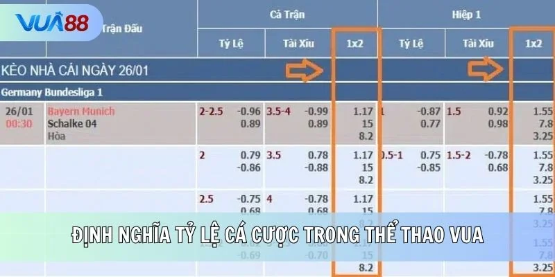 Định nghĩa tỷ lệ cá cược trong thể thao vua