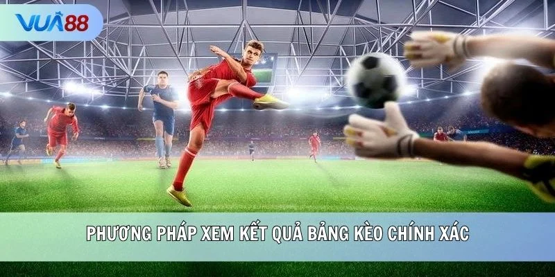Phương pháp xem kết quả bảng kèo chính xác