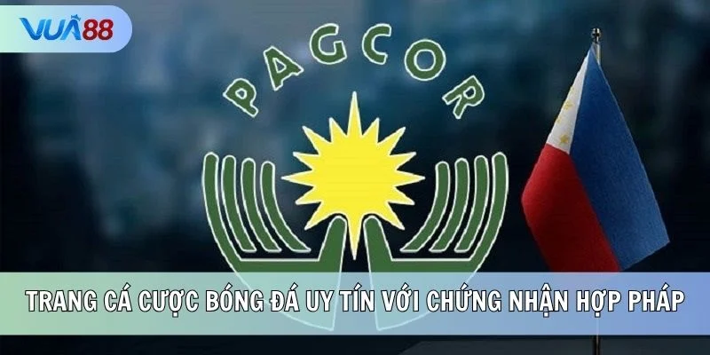 Trang cá cược bóng đá uy tín với chứng nhận hợp pháp