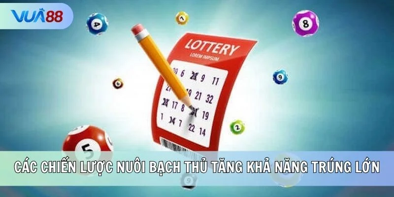 Các chiến lược nuôi bạch thủ tăng khả năng trúng lớn