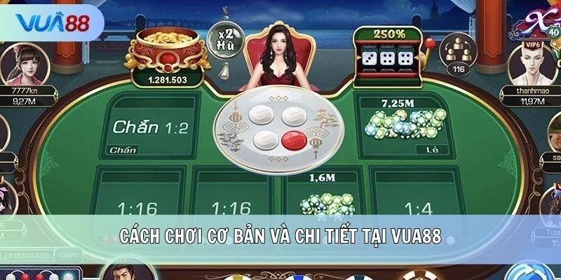 Cách chơi cơ bản và chi tiết tại VUA88