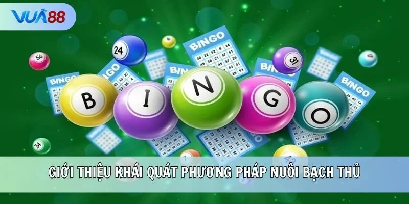 Giới thiệu khái quát phương pháp nuôi bạch thủ
