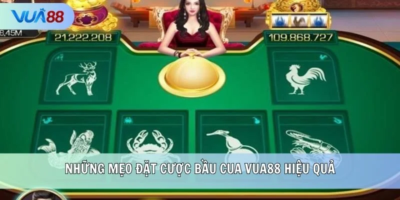 Những mẹo đặt cược Bầu Cua VUA88 hiệu quả
