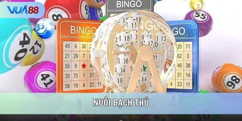 Nuôi bạch thủ
